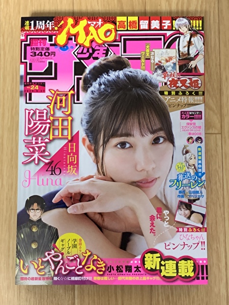 【正規品】日向坂46 直筆サイン入りポスター　小坂　丹生　河田　加藤　齊藤 加藤史帆、齊藤京子、河田陽菜、小坂菜緒、丹生明里の撮り下ろし